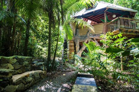 Property photo of 109 Camelot Close Cape Tribulation QLD 4873