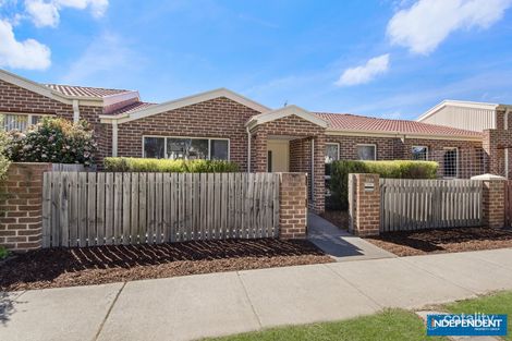 Property photo of 259 Anthony Rolfe Avenue Gungahlin ACT 2912
