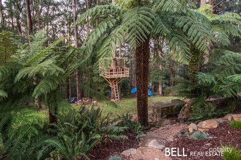 Property photo of 11 Mount View Road Ferny Creek VIC 3786