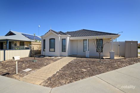 9 Throwley Ave, Butler, WA 6036