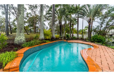 Property photo of 23 Chichester Drive Arundel QLD 4214