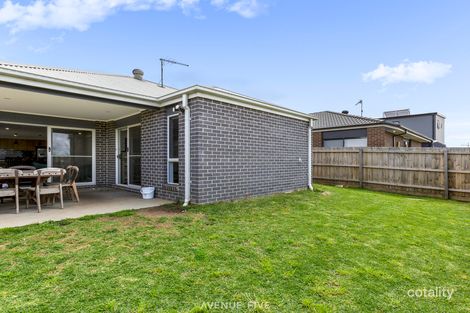 Property photo of 50 Albanel Street Armstrong Creek VIC 3217