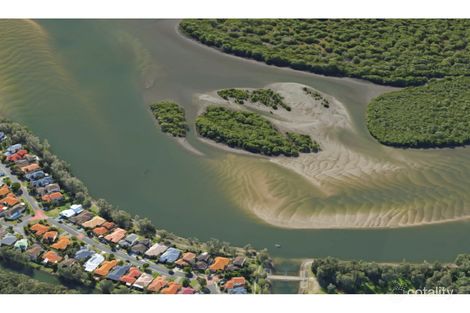 Property photo of 31 The Estuary Coombabah QLD 4216
