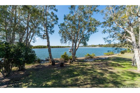 Property photo of 31 The Estuary Coombabah QLD 4216