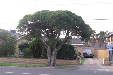 293 South Rd, Brighton East, VIC 3187