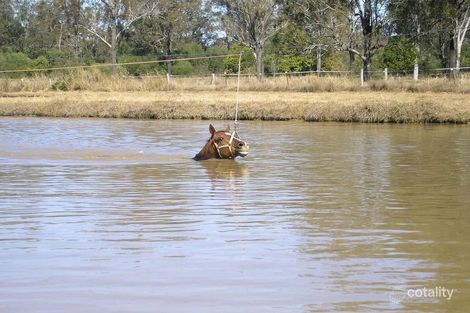 Property photo of 62 Warren Road Wanora QLD 4306