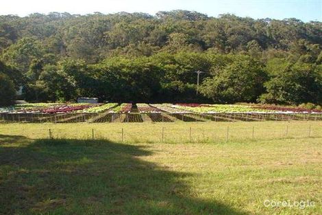 Property photo of 665 The Scenic Road Macmasters Beach NSW 2251