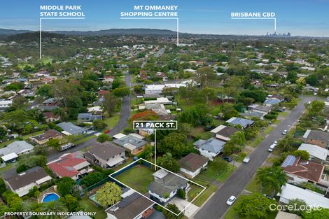 Property photo of 21 Pack Street Jamboree Heights QLD 4074