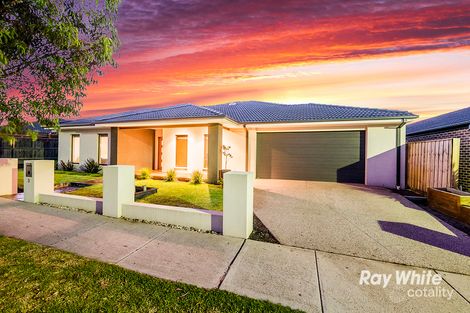 Property photo of 3 Black Gum Crescent Cranbourne West VIC 3977