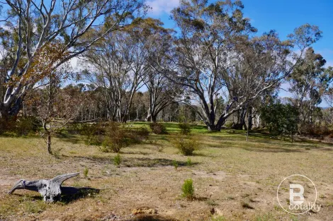 Property photo of 44 Borbidge Lane Moonambel VIC 3478