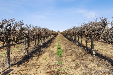 78 Clements Rd, Cobdogla, SA 5346