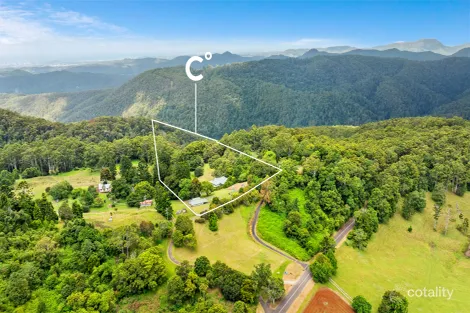 Property photo of 653 Pine Creek Road Springbrook QLD 4213