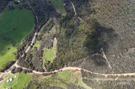 795 Valley Of The Giants Rd, Tingledale, WA 6333