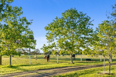 209 Korijekup Ave, Harvey, WA 6220