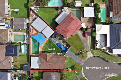 Property photo of 3 Borrowdale Close Lurnea NSW 2170