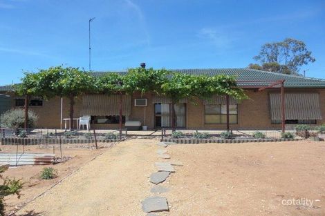 23 Phillip Ave, Swan Reach, SA 5354