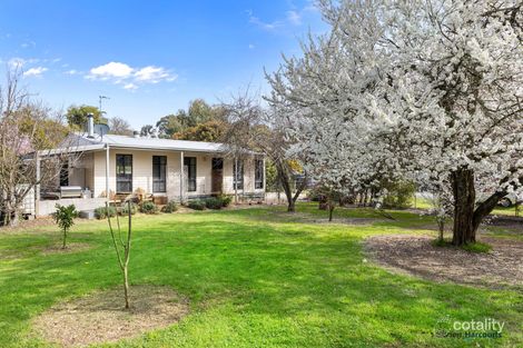 13 Kerr St, Taggerty, VIC 3714