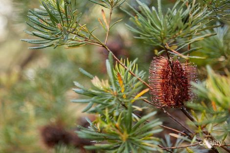 Property photo of 101/659-669 Whitehorse Road Mont Albert VIC 3127