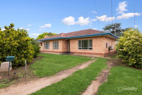 7 Whitelodge Rd, Paradise, SA 5075