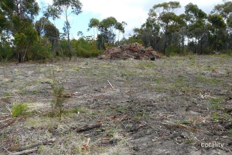 Property photo of 9 Oberon Place Scamander TAS 7215