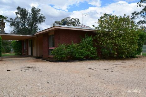 Property photo of 5 Carruthers Crescent Gillen NT 0870