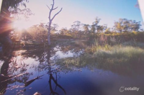 499 Old Armidale Rd, Stannifer, NSW 2369