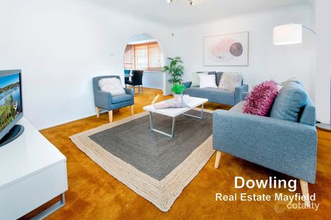 Property photo of 5 Olearia Crescent Warabrook NSW 2304