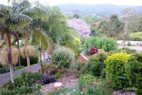 Property photo of 14 Marshall Street Uki NSW 2484