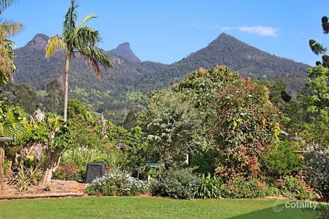 Property photo of 14 Marshall Street Uki NSW 2484