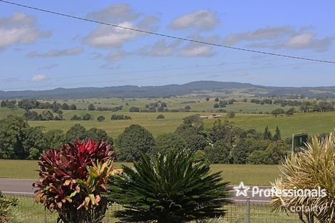 Property photo of 7 Millaa Millaa Malanda Road Malanda QLD 4885