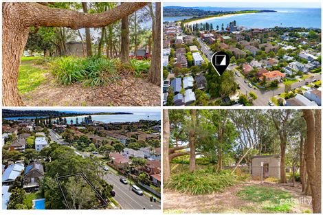 Property photo of 66 Griffin Road Dee Why NSW 2099
