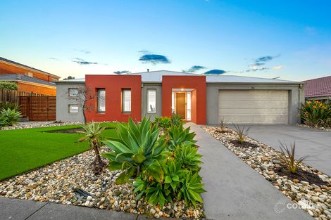 Property photo of 19 Glenmaggie Close Berwick VIC 3806