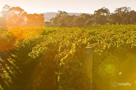 Property photo of 18 Blundell Street Dayton WA 6055