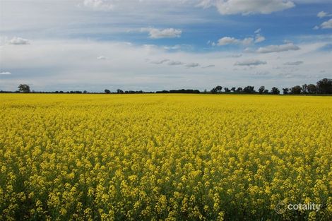 1902 Paintings Bridge Rd, Sandigo, NSW 2700