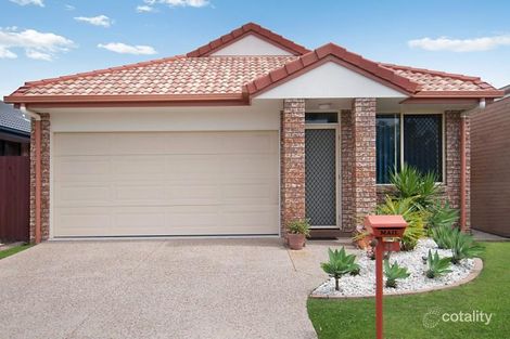 43 Wheeler Cres, Caloundra West, QLD 4551