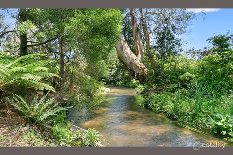Property photo of 5 Mareeba Avenue Buxton VIC 3711