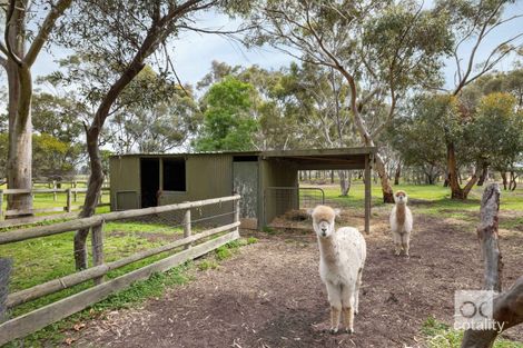 Property photo of 158 Rifle Range Road McLaren Vale SA 5171