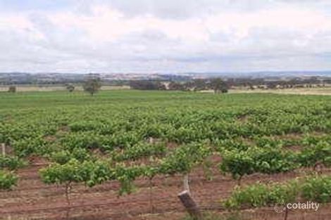 102 Ebenezer Rd, Ebenezer, SA 5355