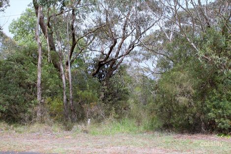 55 Tableland Rd, Wentworth Falls, NSW 2782