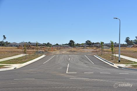 Property photo of 19 Continuance Way Delacombe VIC 3356