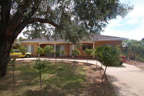 36 Cutler Ave, Kooringal, NSW 2650