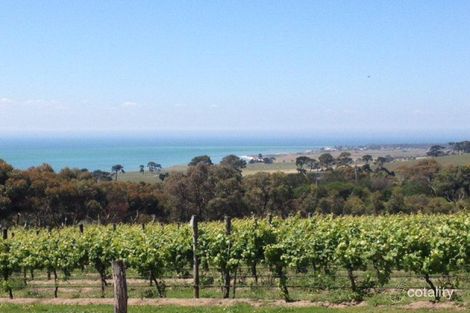 Property photo of 1 Newfields Drive Drysdale VIC 3222