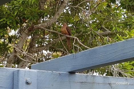 7 Langdon Lane, Bellmere, QLD 4510