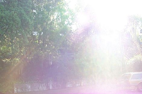 Property photo of 31 Leworthy Street Bardon QLD 4065