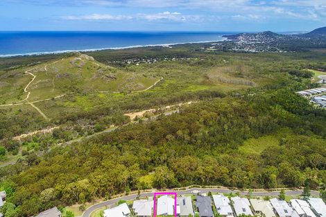 Property photo of 23 Scrubby Gum Circuit Peregian Springs QLD 4573