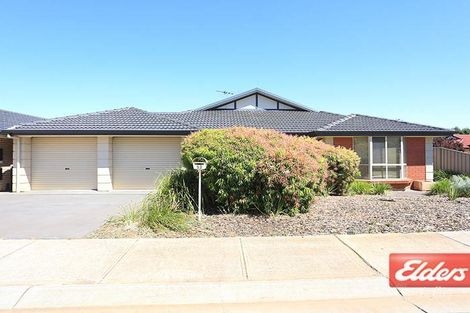 53 Mitchell Dr, Evanston Park, SA 5116