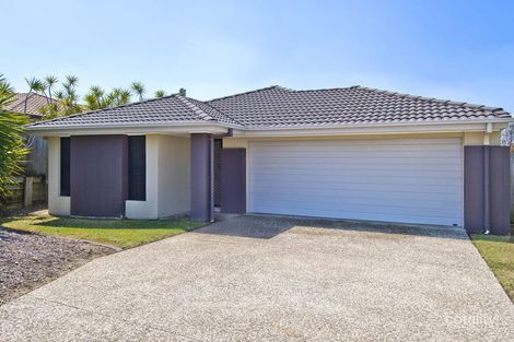 Property photo of 56 Manning Circuit Pacific Pines QLD 4211