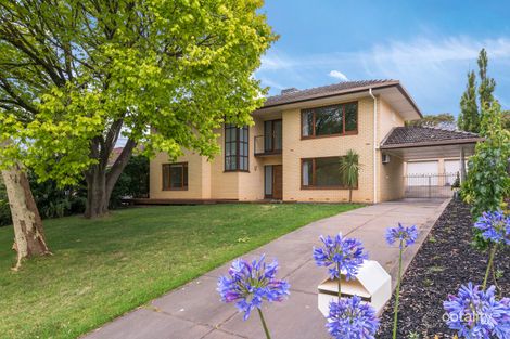 Property photo of 9 Pitcairn Avenue Urrbrae SA 5064