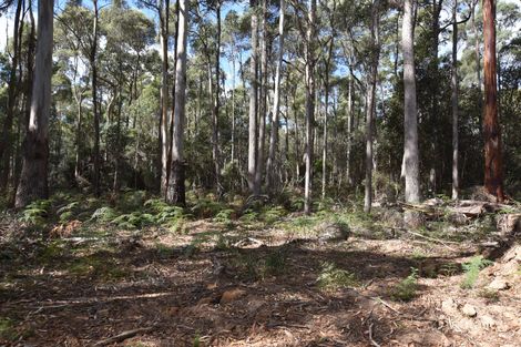 366 River Rd, Reedy Marsh, TAS 7304