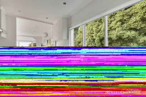 Property photo of 15 Tormey Street Balwyn North VIC 3104